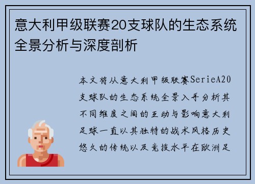 意大利甲级联赛20支球队的生态系统全景分析与深度剖析