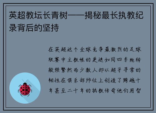 英超教坛长青树——揭秘最长执教纪录背后的坚持
